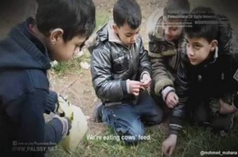 Crianças palestinas comem grama | IKMR