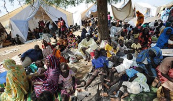 People flee fighting in Southern Kordofan