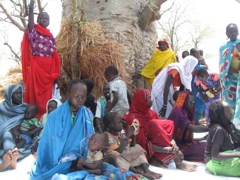 Refugiados do Sudão do Sul (sobre)vivem em condições dramáticas