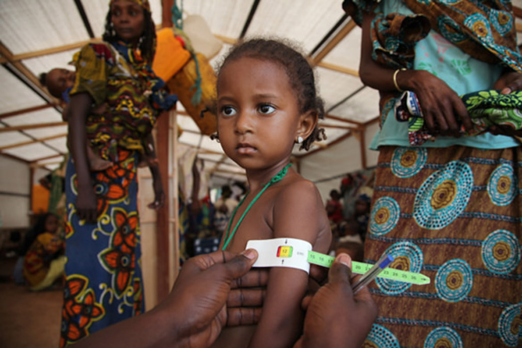 UNICEF alerta: mais crianças morrerão devido à fome do que à guerra na República Centro-Africana