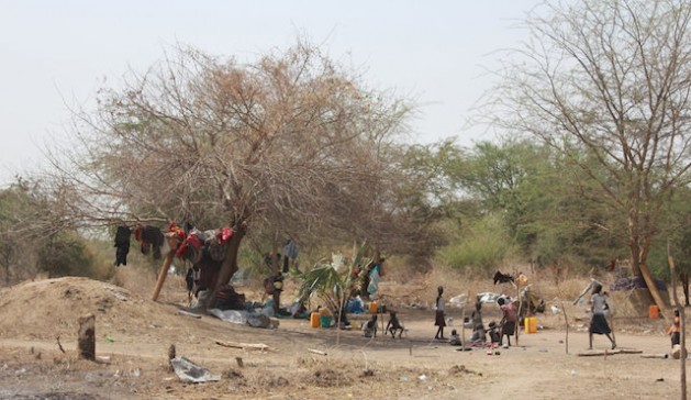Pouco futuro para cessar-fogo no Sudão do Sul