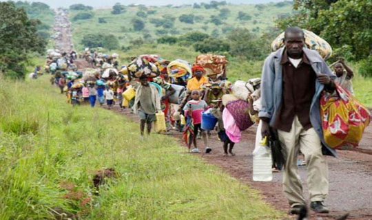 Refugiados são foco de programa