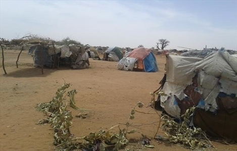 Condições de vida extremamente precárias no Campo de Darfur