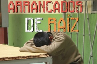 raiz