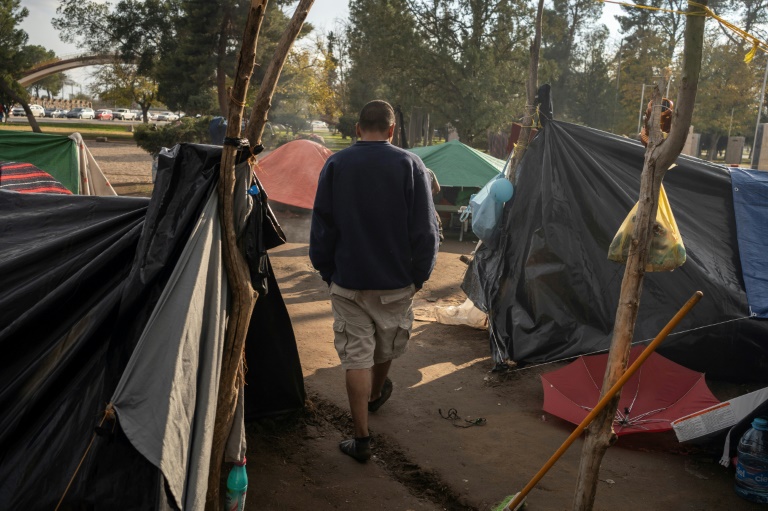 OCDE cria cenários hipotéticos para desenhar impacto de migrações no futuro